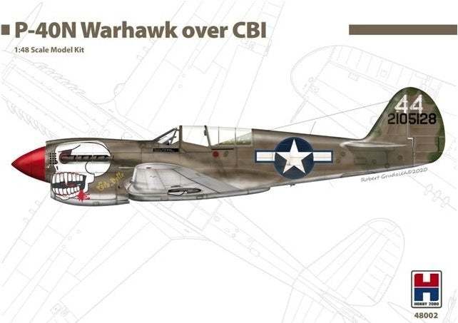 Hobby 2000 48002 P-40N Warhawk Over CBI (Chine, Birmanie, Inde) 1/48