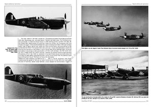 Kagero 3036 Curtiss P-40 vol. Je FR – image 2