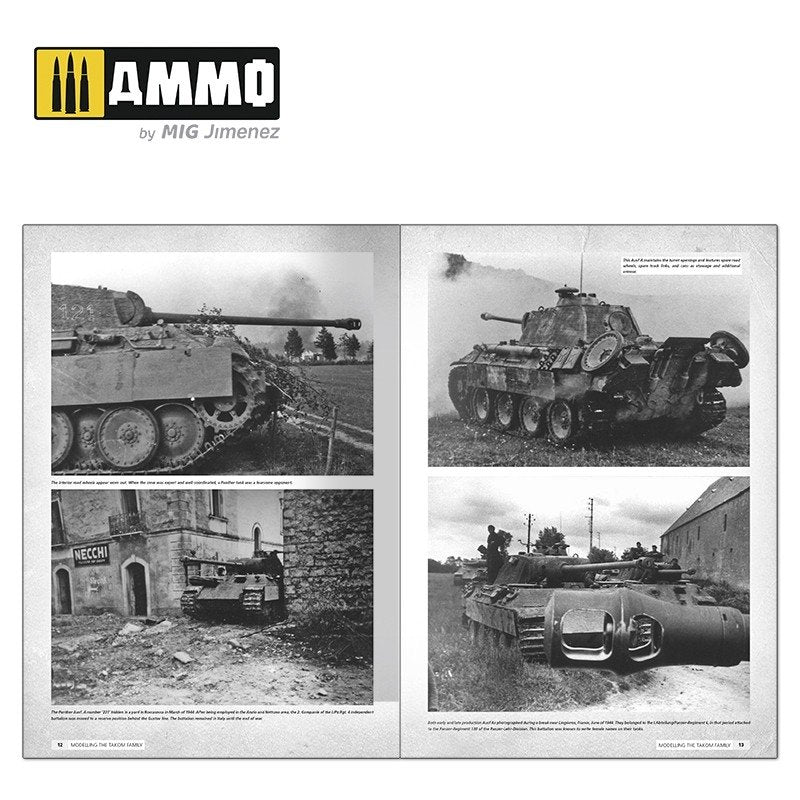 AMMO of Mig Jimenez 6270 Panthers – Modelling the TAKOM Family (English) – zdjęcie 9