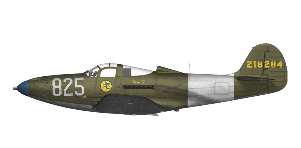 Arma Hobby 40013 P-39 Airacobra RECON 1/48 – immagine 9