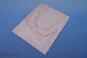Panzer Art RE35-260 North Africa medium artillery stand 1/35 – Bild 2