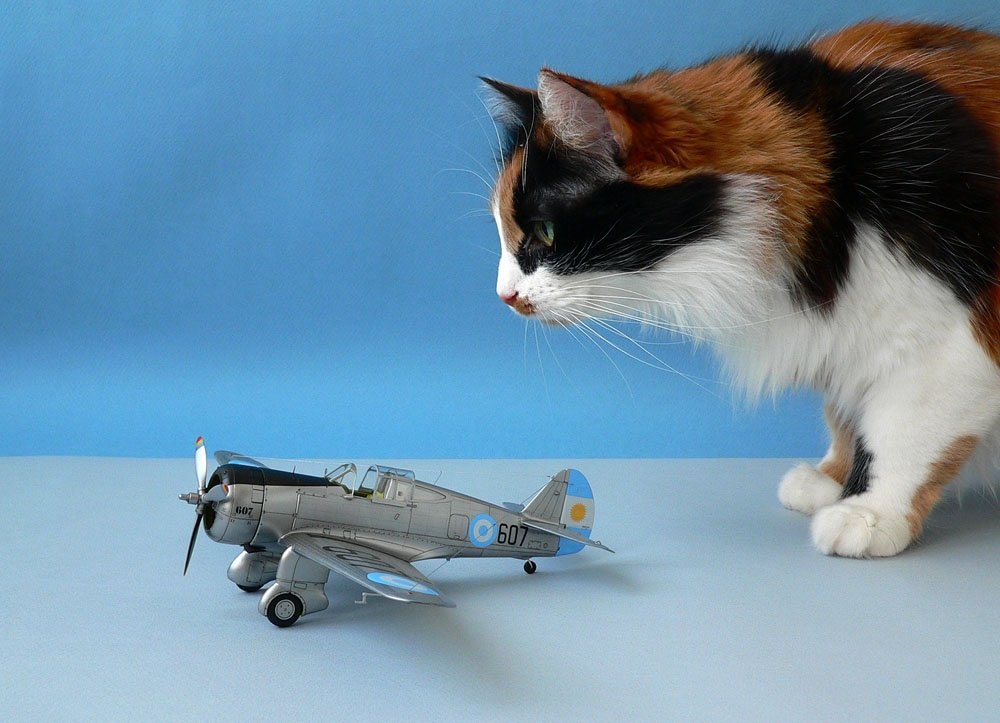 Clear Prop! CP4803 H-75O Hawk ADVANCED KIT 1/48 – image 18