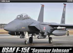 Academy 12295 USAF F-15E Seymour Johnson 1/48