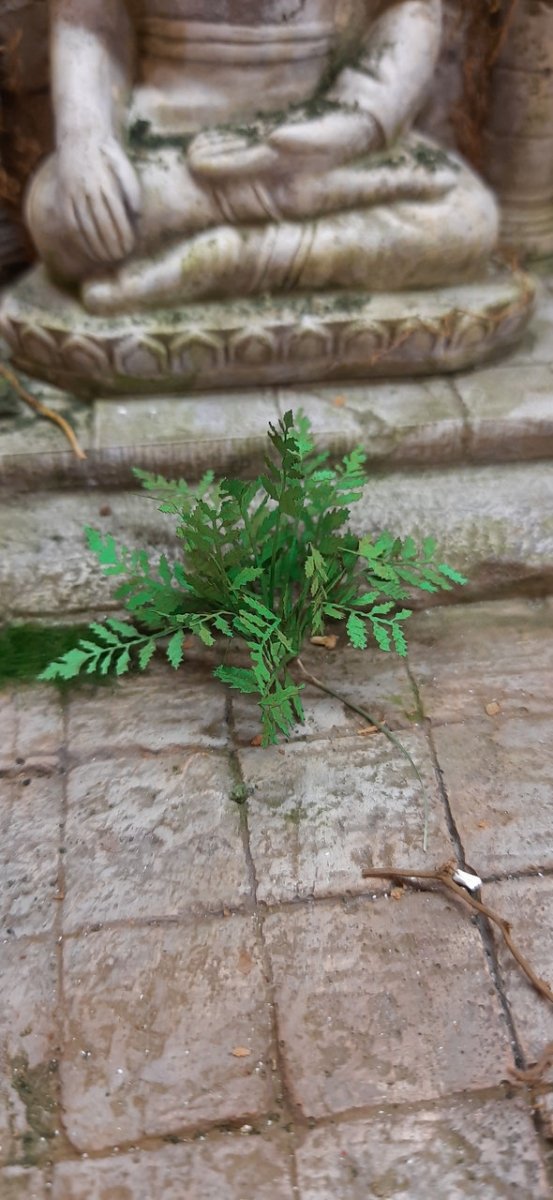 RT-Diorama 35618 Fern No.1 1/35 – Bild 3
