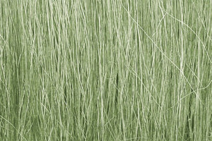 Woodland Scenics WFG173 Light Green Field Grass