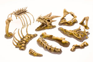 Ensemble complet Paint Forge PFRB5001 Dragon Bones – image 2