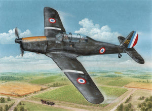 Special Hobby 72409 Arado Ar 96B « Capturé après la guerre » 1/72