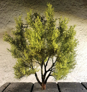 FREON WRB1 Willow White Willow 15/17cm