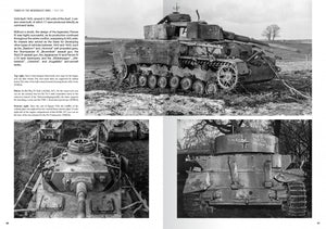 Abteilung 502 ABT760 CHARS DE LA WEHRMACHT WWII · CARLOS DE DIEGO VAQUERIZO – image 8