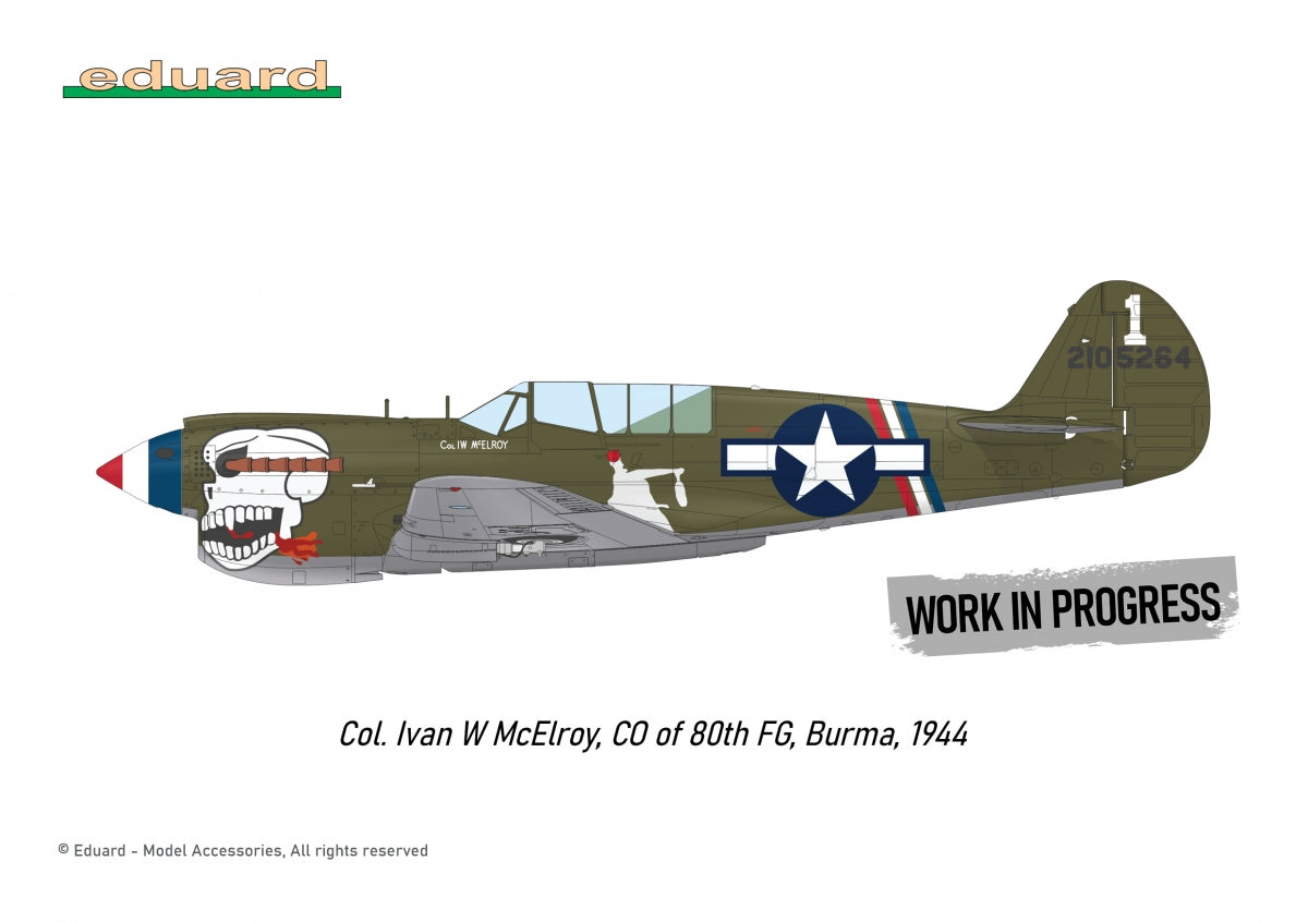 Eduard R0025 P-40N WARHAWK ROYAL CLASS DOUBLE COMBO 1/48 – image 3