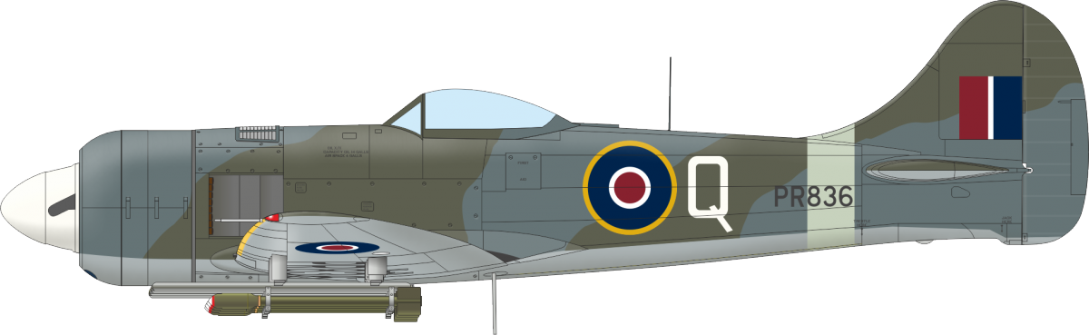 Eduard 11164 The Ultimate Tempest Édition Limitée 1/48 – image 15
