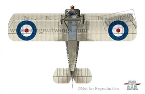 Wingnut Wings 32608 Sopwith 7F.1 Snipe « William Barker » 1/32 – image 2