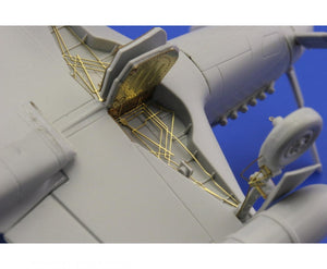 Eduard 73433 F-51D S. A. 1/72 ITALERI – immagine 7