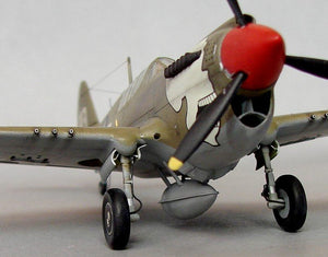 Hasegawa A9 P-40N Warhawk 1/72 – image 14