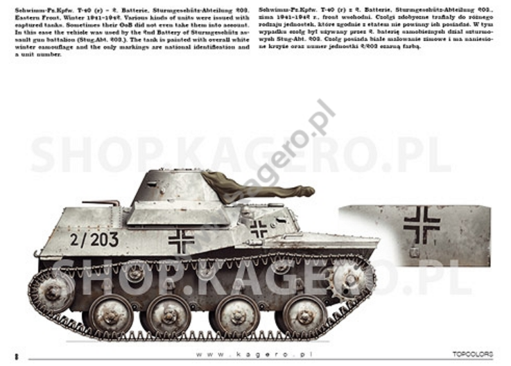 Kagero 15041 Beutepanzer (kalkomania/decals) PL/EN – imagen 3