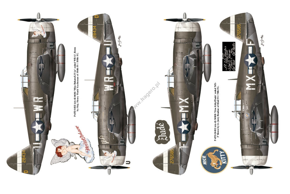 Kagero 12015 Thunderbolts of the U.S. 8th Army Air Force March 1943 - February 1944 EN – Bild 4