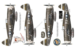 Kagero 12015 Thunderbolts of the U.S. 8th Army Air Force March 1943 - February 1944 EN – Bild 4
