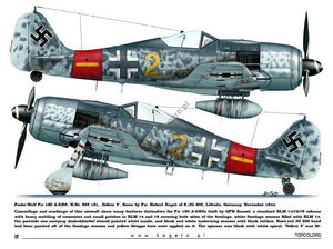 Kagero 15035 Fw 190s over Europe Part I (kalkomania/decals) EN/PL – zdjęcie 3