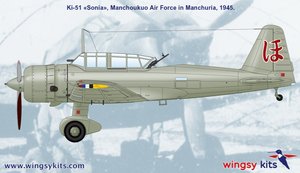 Wingsy Kits D5-06 IJA Type 99 Ki-51 “Sonia” at other services 1/48 – immagine 7