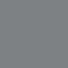 Gunze Sangyo C607 Mr Color Gris JMSDF 