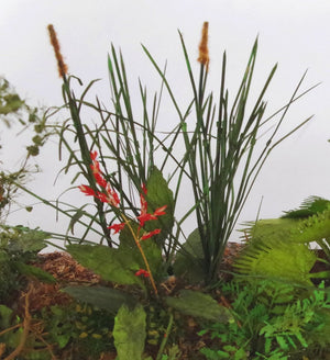 RT-Diorama 35620 Jungle Grass 1/35 – imagen 5