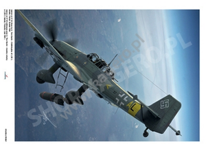 Kagero 7077 Junkers Ju 87 D, G EN/PL – immagine 6