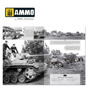 Ammo of Mig 6267 ITALIENFELDZUG – German Tanks and Vehicles 1943-1945 Vol. 4 – immagine 6