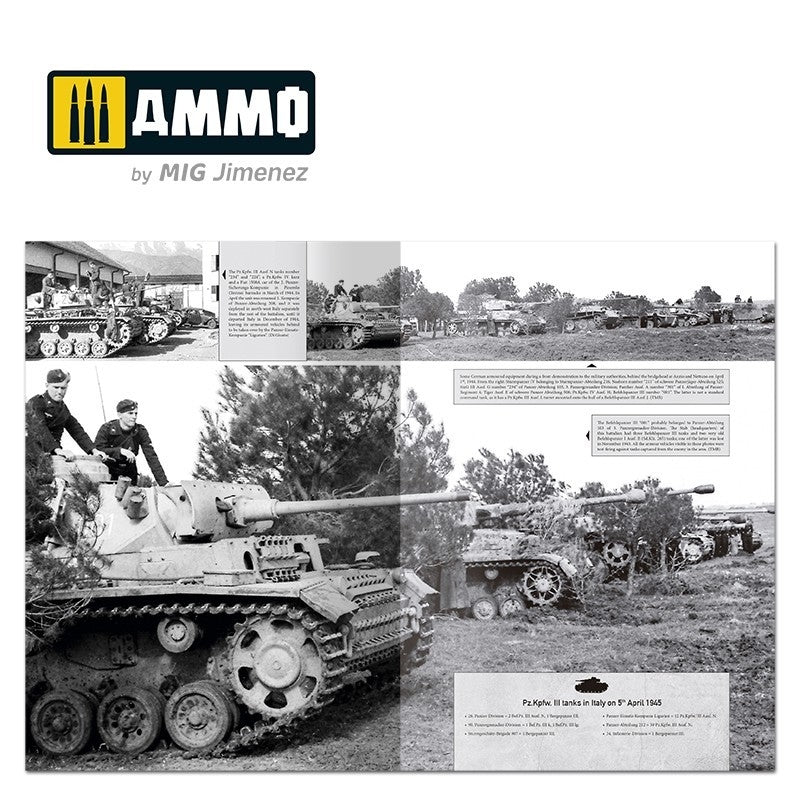 Ammo of Mig 6267 ITALIENFELDZUG – German Tanks and Vehicles 1943-1945 Vol. 4 – immagine 6
