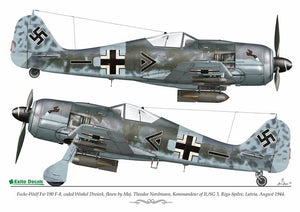 Décalcomanies Exito ED48004 Luftwaffe Ground Attackers vol.1 - Ju 87 D-3, Hs 129, Fw 190F-8 1/48 – image 4