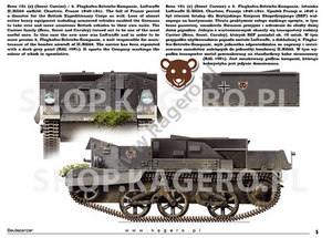 Kagero 15041 Beutepanzer (kalkomania/decals) PL/EN – imagen 4