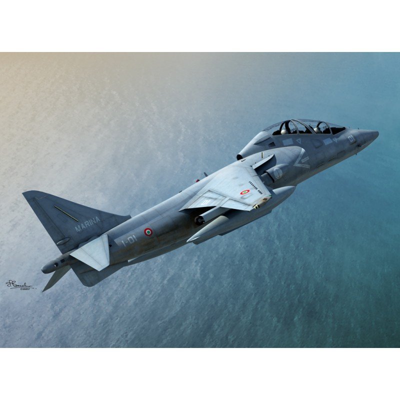 Sword 72100 TAV-8B Harrier II 1/72 