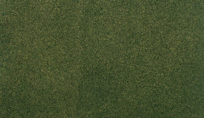 Projet d'herbe forestière Woodland Scenic RG5143 (31,7 x 35,8 cm)