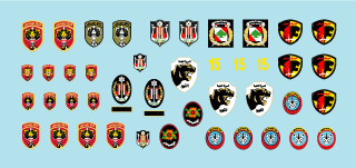 Star Decals 35-C1114 Chars et véhicules blindés libanais 7 1/35  – image 3
