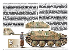 Kagero 15039 Captured Panzers German Vehicles in Allied Service (kalkomania) PL/EN – immagine 6