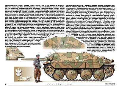 Kagero 15039 Captured Panzers German Vehicles in Allied Service (kalkomania) PL/EN – immagine 6