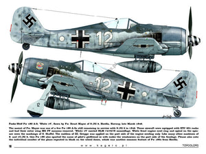 Kagero 15035 Fw 190s over Europe Part I (kalkomania/decals) EN/PL – zdjęcie 2