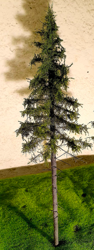 FREON SG2 Mountain Spruce - Larger Alpine Spruce 18/20 cm 3 pieces – image 2