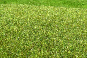 Model scene F011 Wetland middle – zdjęcie 2