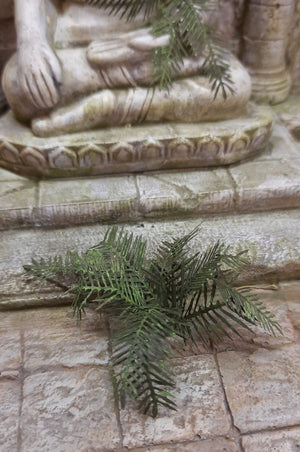 RT-Diorama 35619 Fern No.2 1/35 – immagine 2