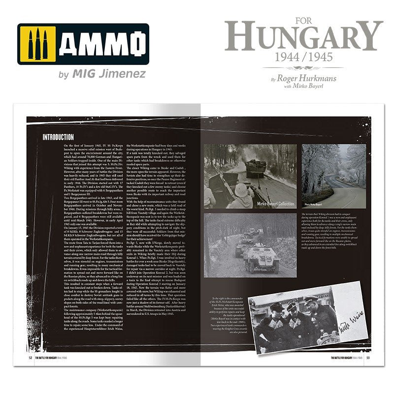 Ammo of Mig 6280 The Battle for Hungary 1944/1945 (English) – immagine 8