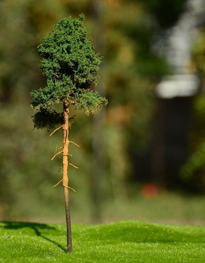 FREON SOM1 Young pine - Young pine 18/20cm
