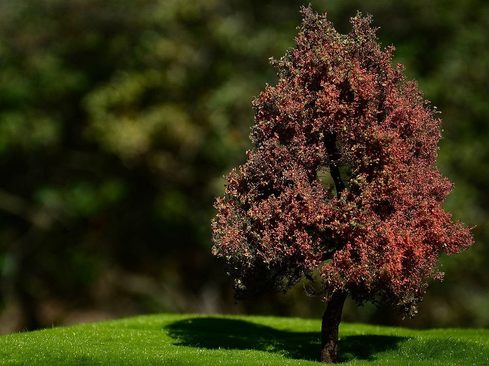 FREON DJ1 Autumn tree - Autumn Tree 18/20cm
