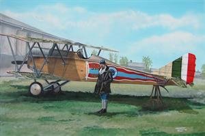 Fly 72002 Ansaldo SVA6 Fin 1/72 – image 3