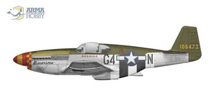 Arma Hobby 70041 P-51B Mustang 1/72 – imagen 9