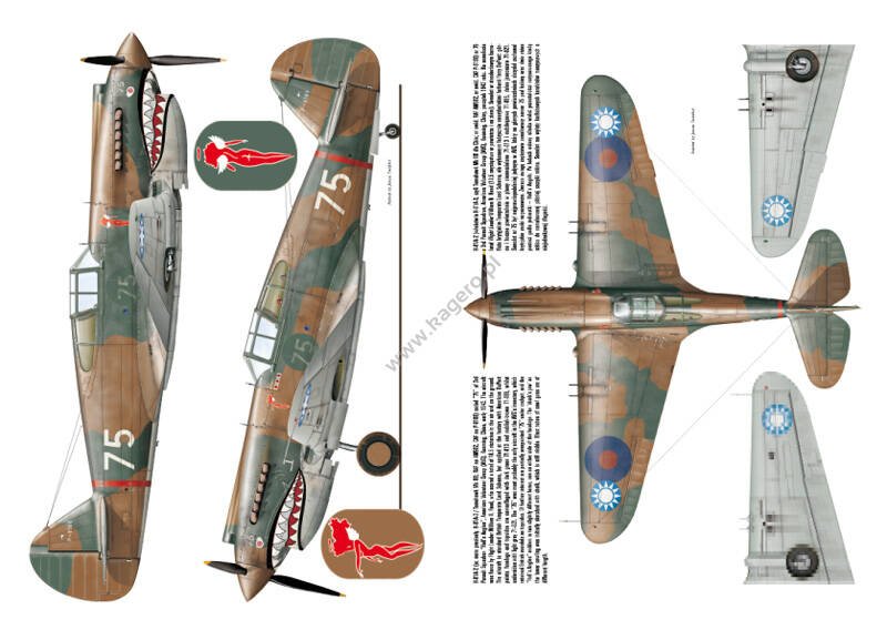 Kagero 3036 Curtiss P-40 vol. Je FR – image 3