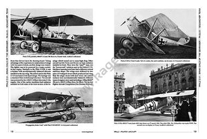 Kagero 6007 Pfalz – Fighter Aircraft from Rheinland the Wine Country EN – zdjęcie 3