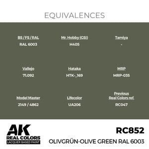 AK Interactive RC852 Olivgrün-Olive Green RAL 6003 17 ml – immagine 3