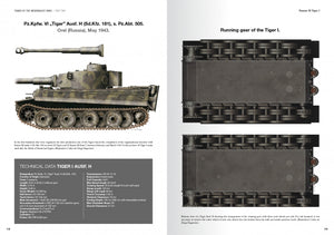 Abteilung 502 ABT760 CHARS DE LA WEHRMACHT WWII · CARLOS DE DIEGO VAQUERIZO – image 2