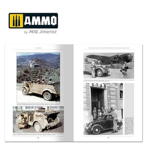 Ammo of Mig 6267 ITALIENFELDZUG – German Tanks and Vehicles 1943-1945 Vol. 4 – immagine 5