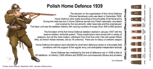 Toro 35F69 Wrzesień 1939 - Żołnierz Batalionu Obrony Narodowej Figurka wraz z kalkomanią 1/35